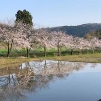 のうじくみあいほうじんなたうち