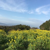 農家民泊あんちゃん家