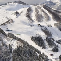 スカイバレイスキー場