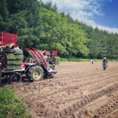 【6月に2名募集！】北海道の辺境の地で、ブロッコリーの播種と植え付けのおてつたび