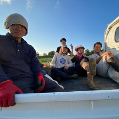 【8月9月の野菜収穫のお手伝い募集🎃！！※短期でも可、採用人数に限り有り】