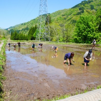 石川県白山市👘旅館業務と米作り作業🌾をお願いします♪