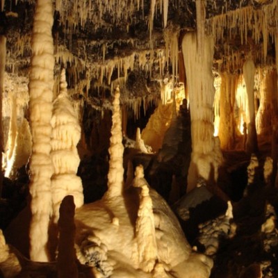 年末年始を南大東島で迎えよう！