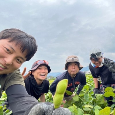 丹波篠山・秋の特産品!!「黒枝豆」の収獲・出荷のおてつたび