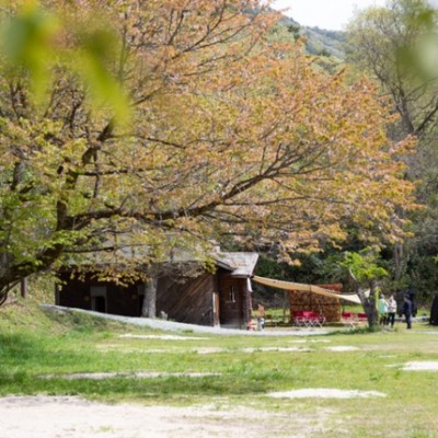 【9月】自然豊かなキャンプ場で体を動かして働きませんか⛺？友人参加歓迎♪