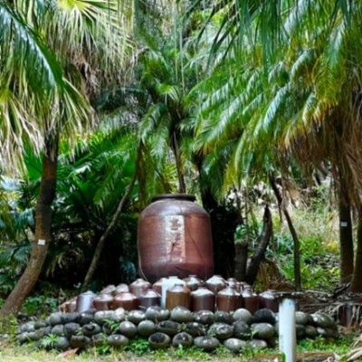 「ローカルの魅力を世界に、世界の魅力をローカルに。」1954年創業八丈島の酒屋 山田屋の挑戦。作り手の想いを伝える酒屋で、販売と業務マニュアル作りのおてつたび🔥文章をまとめるのが得意な方／経験者の方、大歓迎◎