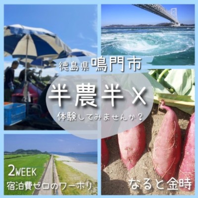 【第２弾🌱】海辺の潮風香る自然豊かな畑で特産品「なると金時」の半日２週間のおてつたび🍠宿泊は個室付シェアハウス🏠
