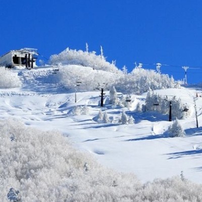 志賀高原でスキー&ボードを楽しみながらホテルのお手伝い♪