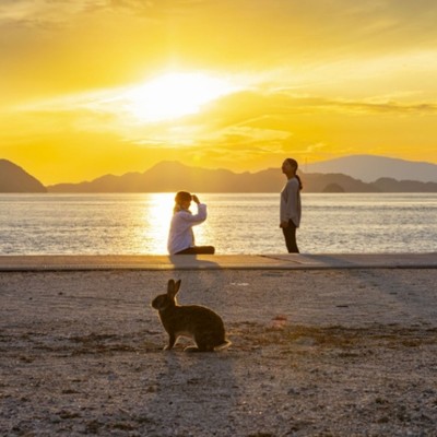 【瀬戸内海を眺めるうさぎ島】お皿洗いでおてつ旅