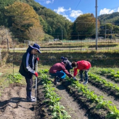 大阪の軽井沢「豊能町」で、ジャガイモの植え付けをしてみませんか？