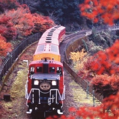 【配膳・洗い場・布団敷き・宴会場準備など】学生・未経験の方もOK★京の奥座敷 湯の花温泉で旅館のお手伝いをしてみませんか？京都市内からも比較的近い立地♪休日の京都観光にも便利です♪