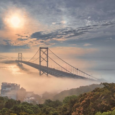 【午前 or 午後のみ🌱】2週間！特産品「鳴門らっきょ」のおてつたび！サイクリングも楽しめます🚴【5月19日~6月2日】
