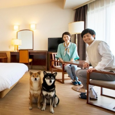 【伊豆高原／客室清掃／初心者OK】愛犬家必見！わんちゃんと泊まれるホテルで楽しく清掃のお手伝いをしませんか？15時以降は完全フリー♪自分時間を有効に！！友人参加歓迎