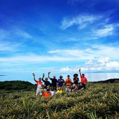 好評のため追加募集第2弾🍍パイナップルの花言葉は歓迎。世界自然遺産の島で,ひたすら雑草を抜いて自分を磨いてみる。
