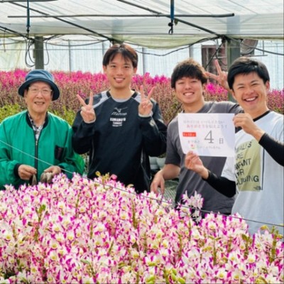 【母の日ギフトフェス開催】リピーター多数！全国のお母さんに感謝を届ける洋ラン出荷チーム募集。温かい農園で地域とのふれあいも楽しめます！