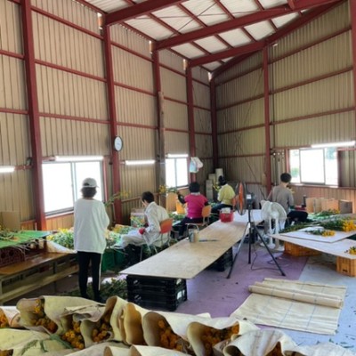 南相木村の大自然の中で、『花づくり』の思い出を！