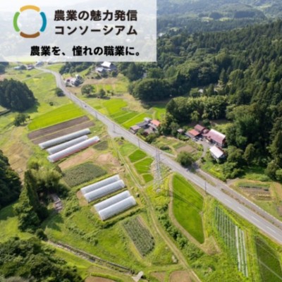 【農業の魅力発信👨🏻‍🌾】世界遺産の町・平泉で「いちごの定植作業」のおてつだい。就農や移住に興味のある方の一歩目になる、3日間のおてつたび🍓