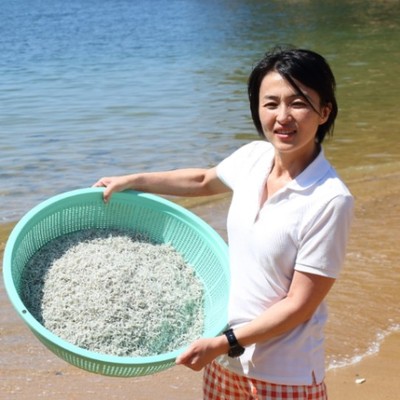 瀬戸内海の恵み「ちりめん」作り！全国にお届けし、喜びの声がすぐにたくさん！一番のやりがいになります！