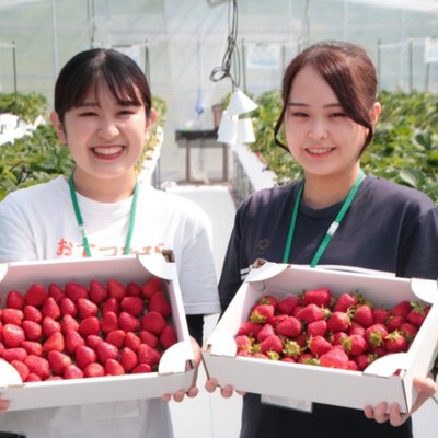 【8月】＼最北の村で過ごす夏／北海道の中でもとりわけ涼しい地域で、”熱い仲間たち”とイチゴ🍓の収穫をお手伝いしてみませんか？