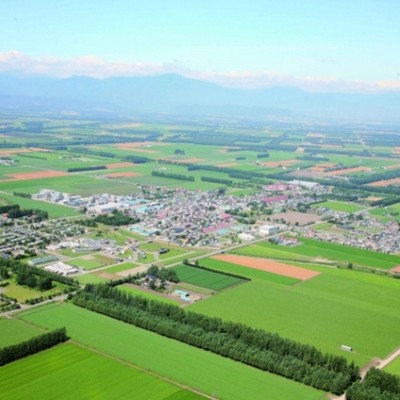 【住みたくなる村】広大な畑がひろがる十勝平野で、馬鈴しょ選果作業のお手伝い！