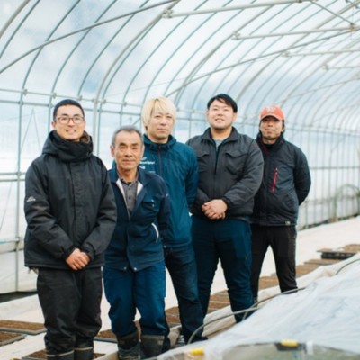 夏の村山できゅうり収穫と管理作業のおてつだい！空き時間にはグルメや温泉など村山の魅力の虜になってほしい！！♨