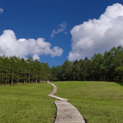 9/28～10/11　標高1800m、秋の高原にある山小屋のお手伝い。美味しい空気とお水、自然に囲まれた料理の美味しい山小屋での宿泊・飲食業務のお手伝いです。接客、簡単な調理のできる方歓迎します。