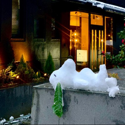 再募集‼️箱根・強羅 | 早雲山の高台にある小さなホテルでおてつたび。一日5時間程度のお仕事です。空き時間は周辺観光をお楽しみください⛄️お待ちしております！！