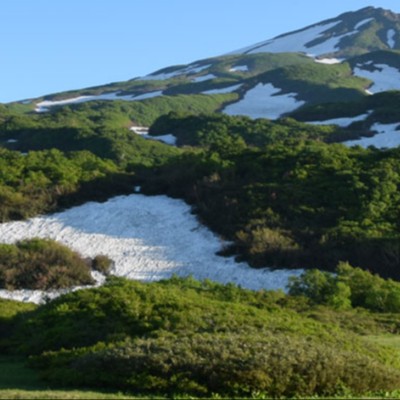 【秋田・由利本荘】仕事の後は100%源泉掛け流しの湯へ。老舗旅館で「旬の味」と「おもてなし」を届ける冬のおてつたび