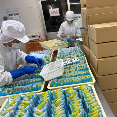 秋限定の“栗しごと”体験。宮崎・須木の栗工房で季節の手しごとを。