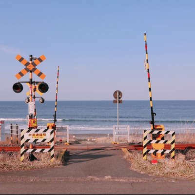 きのこ好き歓迎！星空日本一にもなった海と高原の町「洋野町」で天然きのこの食堂のお手伝い