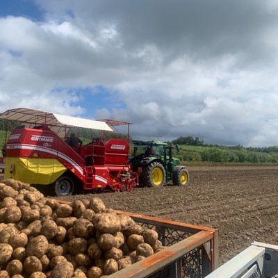秋の北海道で農業のおてつたび。じゃがいも収穫・選別のお手伝いをしてくださる方をお待ちしております◎