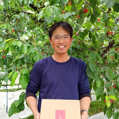 さくらんぼ片付け作業のお手伝いをお願いします🍒