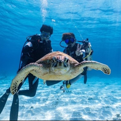 沖縄離島／客室清掃・レストランホールの手伝い（ダイビング・スノーケル無料）