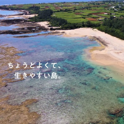 終わらないわくわく感のある島🏝徳之島｜あなたが見つけた「徳之島」の魅力発信と組合業務をお願いいたします