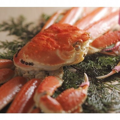 蟹踊る🦀松葉カニ解禁で賑わう温泉宿で、お客様のおもてなしのお手伝いをお願いします!!兵庫県「香住」は日本海の海の幸がふんだんに漁獲できる港町。年に一番の繁忙期を一緒に駆け抜けてください🏃