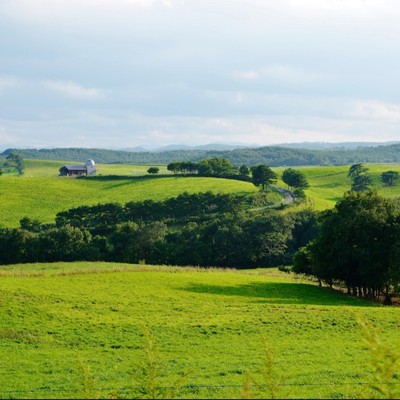 海と山での活動に参加する地域プロモーション企画のアシスタント