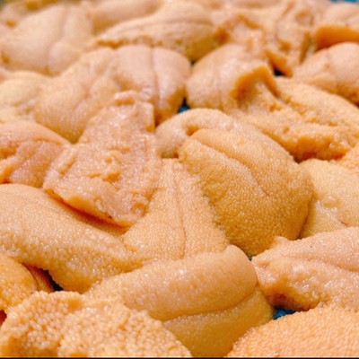 【5月】北海道・花の浮島 礼文島でウニ剥きのおてつたび＼軽作業／＼日程延長可能／