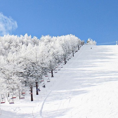 標高1,300mの菅平高原に佇む、家族経営のアットホームな『ロッジ＆レストラン八幡屋』。冬はスキー合宿や大会選手を受け入れおり、賑やかな環境です🎿主に清掃や厨房の業務をお願いします。