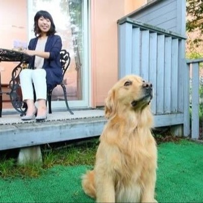 ～森の風に包まれて、ペットと働く高原のおてつたび～ 涼しい軽井沢で、自然と動物に囲まれた癒しの暮らし体験【車通勤できる方歓迎！！】