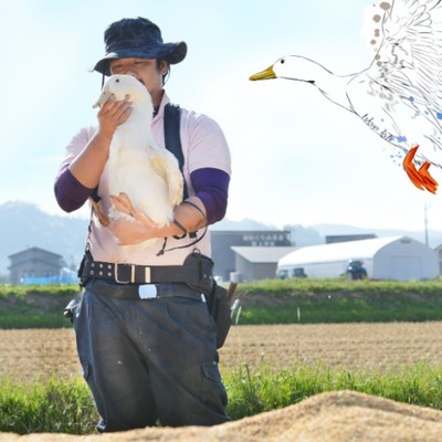 山形で目指す世界一の鴨農家｜鴨の飼育補助や加工施設での鴨肉製造のおてつだい【旅費補助あり】
