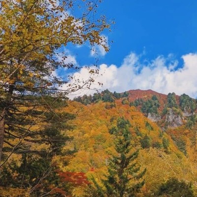 【週末の2日間】紅葉シーズンの真っ只中🍁志賀高原のリゾートホテルでおてつたび！登山・ハイキング・写真撮影などお仕事前後には是非周囲もお楽しみください◎