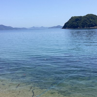 夏の島暮らしちりめんづくりのお手伝い[土日休］立ち仕事、暑いので体力ある方職場は女性のみ女性でお仕事です(漁によって忙しさが異なりますが6時間程度で初めてでも大丈夫)