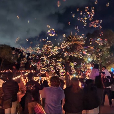 【和歌山第二のふるさとプロジェクト（全4回）】第3弾🕊️何度も通うおてつたび🕊️イベント準備として、竹灯篭製作のおてつたび！イベント準備の地域活性化事業に関われる貴重な機会です！